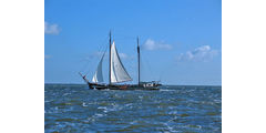 Segelrüstzeit auf dem Ijsselmeer